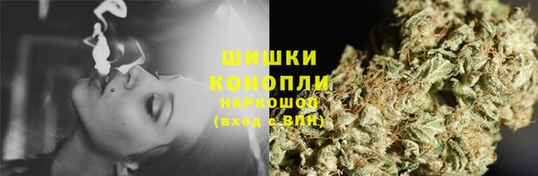 прущий лед Богданович