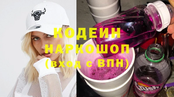 прущий лед Богданович