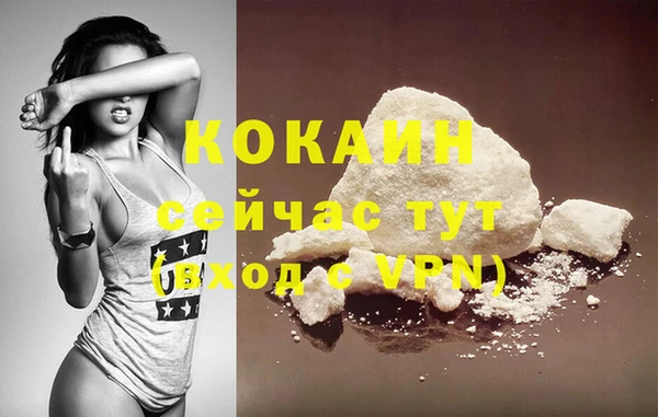 бошки Бородино