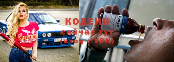 прущий лед Богданович